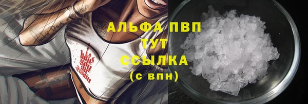 стаф Кукмор
