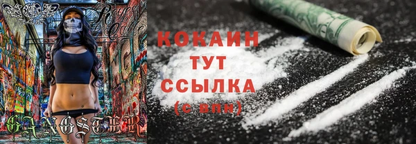 стаф Кукмор