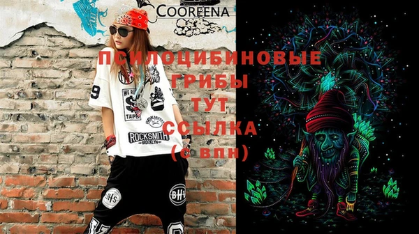 стаф Кукмор